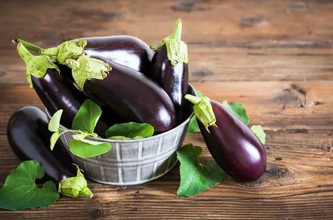 تصویر 4 از بادمجان سیاه خوش پز و بدون دانه زیاد